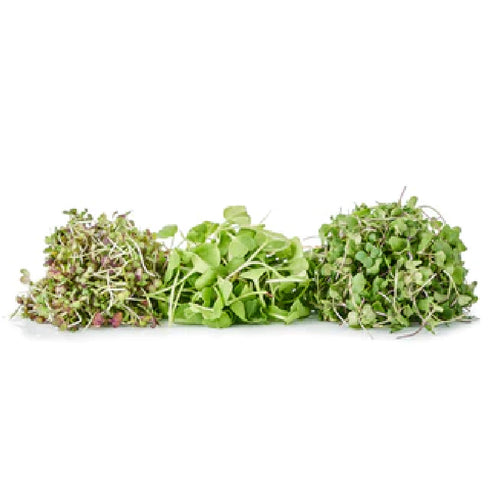 KING OF GREENS 30 GR POMARIO
